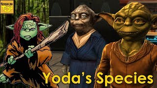 What do we know about YODAS SPECIES [upl. by Akiria]