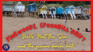 Wells Next The Sea  Pinewoods  Spoonbill Drift Touring Site [upl. by Turnheim]