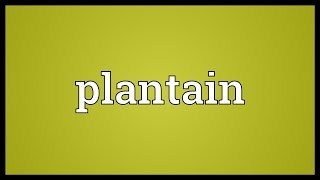 Plantain Meaning [upl. by Mariann]