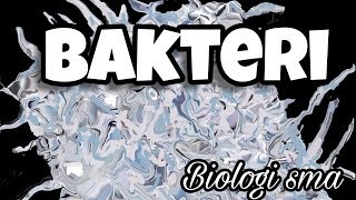 Materi Biologi SMA tentang Bakteri [upl. by O'Meara822]