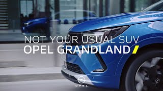 New Opel Grandland Plug in Power Up [upl. by Ahsemo249]