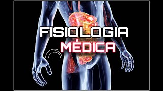 FISIOLOGIA MÉDICA  SINAPSE QUÍMICA  Neuromuscular [upl. by Ddahc]