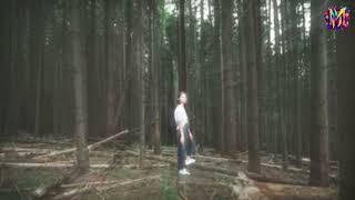 Dark Forest New English song [upl. by Moule]