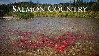 Alaska Salmon Country  Sockeye City [upl. by Maurits]