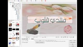 شرح برنامج فوتو سكاب Photoscape 37 الدرس الاول  محمد عبود [upl. by Ahseiat445]