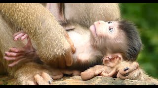 how this baby live with mom [upl. by Nnaarual362]