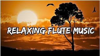 Morning Flute Music  Himalayan Flute Music  Mountain Fluteबाँसुरी  Meditation Music [upl. by Muhammad]