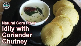 Instant Corn Meal Idli with Coriander Chutney  Makki ki Soft Idli Recipe [upl. by Navoj]