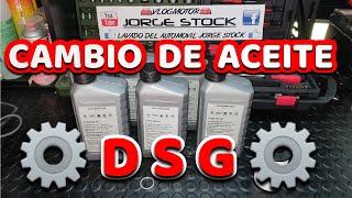 Cambio de aceite y filtro DSG DQ250 6 velocidades automática doble embrague VAG [upl. by Nnahtebazile]