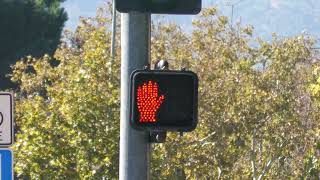 Leotek LED Pedestrian Signal with Broken Countdown Timer in Pleasanton California [upl. by Acireit]