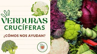 LAS VERDURAS CRUCÍFERAS Los Glucosinolatos y su lucha contra el Cáncer [upl. by Thorin82]