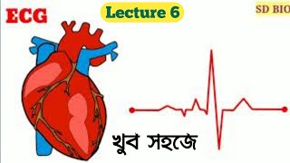 How to read ECG in bengali। Human Physiology class 11। Electrocardiogram and Electrocardiograph । [upl. by Atteiluj]