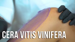 EPILAZONE  TUTORIAL Cera Vitis Vinifera [upl. by Ganley]