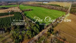 Five Chop Farm  82± Acres in Bulloch County [upl. by Pomfrey]