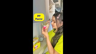 DIY Planter 😱 crafteraditi youtubepartner shorts youtubeshorts diy planter CrafterAditi [upl. by Dorinda189]