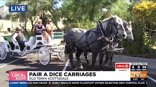 Horsedrawn carriage business offering rides across Arizona [upl. by Tongue]