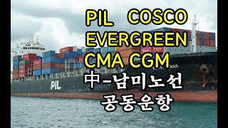 PIL 에버그린·코스코·CMACGM과 中남미노선 공동운항 5월초 남미 ES1·ES2 서비스 강화  KSG NEWS [upl. by Skinner]