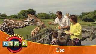 Zoo  Virtual Field Trip  KidVision PreK [upl. by Neelhsa]