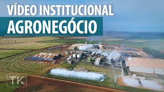 Video Institucional Agronegócio  Grupo Viralcool [upl. by Enaerb135]