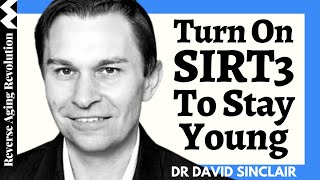 Turn On Mitochondrial SIRT3 To Get Extra Longevity Benefits  Dr David Sinclair Interview Clips [upl. by Hales110]