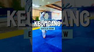 poomsae Keumgang estilo kukkiwon [upl. by Gwenn]