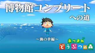 【生放送】あつまれどうぶつの森「博物館コンプリート」目指す配信〜海の幸編〜 [upl. by Alcina]