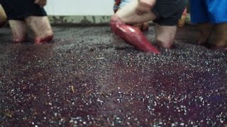 Making Port Wine in Portugals Douro Valley [upl. by Uzzi]