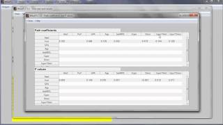 Conduct a Moderating Effects Analysis in WarpPLS [upl. by Teillo88]