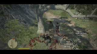 Dragons Dogma  Watergod Altar Walkthrough wo Quest [upl. by Airamahs]