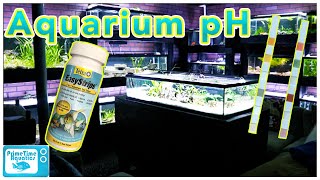 Aquarium pH Everything You NEED to KNOW [upl. by Adlesirc]