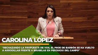 Carolina López “El PSOE de Barbón vuelve a perjudicar al campo” [upl. by Retsehc]