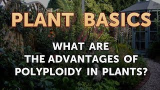 What Are the Advantages of Polyploidy in Plants [upl. by Donata]