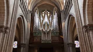 Improvisation on a Genevan Psalm at Geneva Catherdral  Bálint Karosi [upl. by Aurlie642]