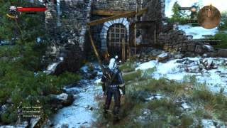 Witcher 3 Toxicity Mechanics Using 5 Decoctions amp Skill Switching [upl. by Siuluj]