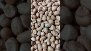 Peanuts 🥜 Benefits  short video [upl. by Lord]