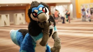 Furry Weekend Atlanta 2024 [upl. by Nolat]