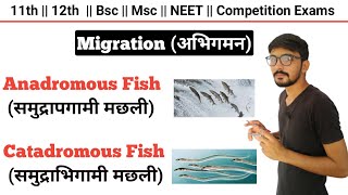 Migration Anadromous Fish And Catadromous Fish  Migration In Fishes 🐠🐋🐟  By Dadhich Sir [upl. by Siegfried]