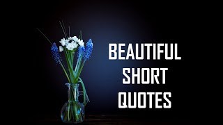 Beautiful Short Quotes  Life Lessons [upl. by Akinaj329]