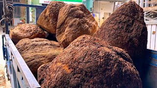 Incredible Woodturning  The Most Beautiful Burl Wood In The World [upl. by Ysset304]