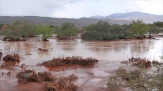 Kayenta amp Snow Canyon Flash Flood [upl. by Oninrutas]