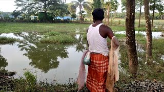 Village net fishing  fishing video  fishermen catch fish [upl. by Yanahc]