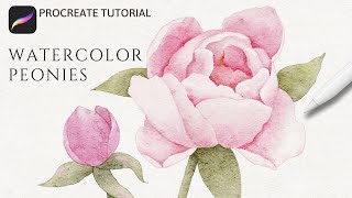 How to Paint Watercolor Peony Flowers in Procreate  Realistic Watercolor Peonies Tutorial [upl. by Eenad911]