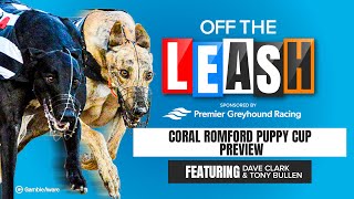 Coral Romford Puppy Cup Preview  Off The Leash  Greyhound Racing Tips [upl. by Schulman493]