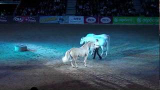 Lipizzaner Show World Cup Budapest 2011 03122011 [upl. by Irama289]