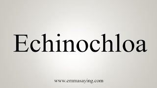 How To Say Echinochloa [upl. by Adnouqal]