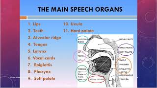 Phonetics vowels consonants ugtrbenglish ugtrb pgtrb successacademyerode phonetics phonetic [upl. by Lytsirhc]