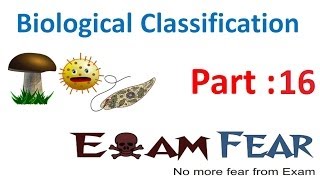 Biology Biological Classification part 16 Fungi reproduction CBSE class 11 XI [upl. by Engen125]