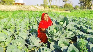 पत्ता गोभी और हरी मटर की स्वादिस्ट एवं पौस्टिक सब्जी  Patta gobhi ki sabji recipe  Cabbage pea [upl. by Harbert850]