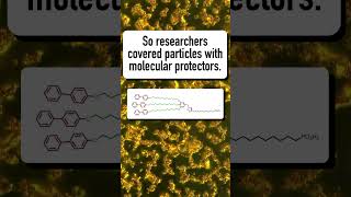 Molecular Protectors Improve Liquid CrystalNanoparticle Blends shorts [upl. by Lena]