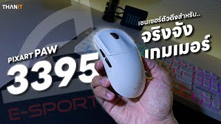 เซนเซอร์เทพตัวแรกของ SIGNO ใช้จริงเป็นไง กับ PAW3395 Sensor Gaming Mouse l SIGNO WG903 VORKEN [upl. by Naginarb973]